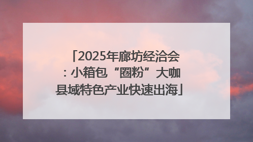 2025年廊坊经洽会：小箱包“圈粉”大咖 县域特色产业快速出海