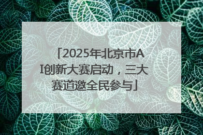 2025年北京市AI创新大赛启动，三大赛道邀全民参与