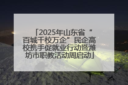 2025年山东省“百城千校万企”民企高校携手促就业行动暨潍坊市职教活动周启动