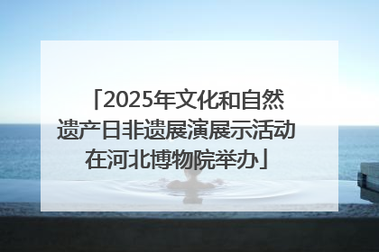 2025年文化和自然遗产日非遗展演展示活动在河北博物院举办