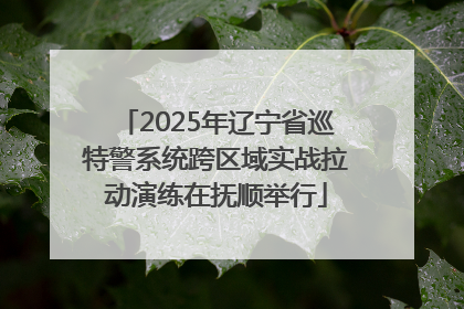 2025年辽宁省巡特警系统跨区域实战拉动演练在抚顺举行