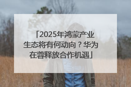2025年鸿蒙产业生态将有何动向？华为在蓉释放合作机遇