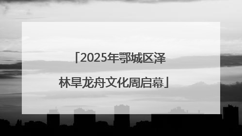 2025年鄂城区泽林旱龙舟文化周启幕