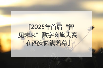 2025年首届“智见未来”数字文旅大赛在西安圆满落幕
