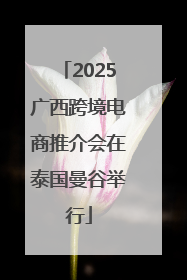 2025广西跨境电商推介会在泰国曼谷举行
