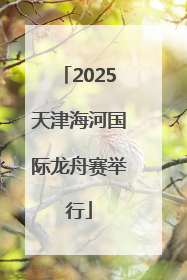 2025天津海河国际龙舟赛举行