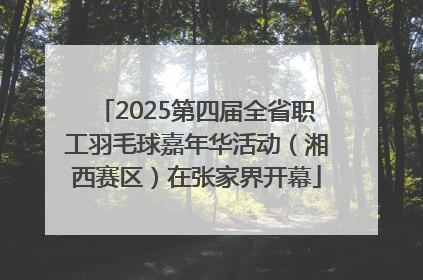 2025第四届全省职工羽毛球嘉年华活动（湘西赛区）在张家界开幕