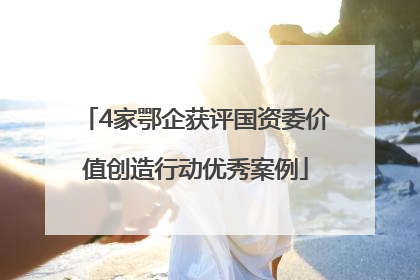 4家鄂企获评国资委价值创造行动优秀案例