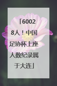 60028人！中国足协杯上座人数纪录属于大连