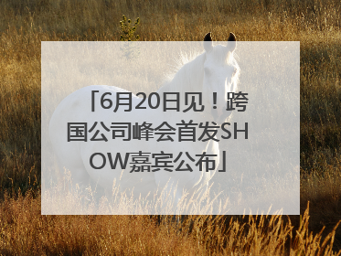 6月20日见！跨国公司峰会首发SHOW嘉宾公布