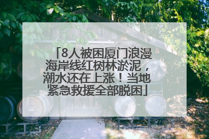 8人被困厦门浪漫海岸线红树林淤泥，潮水还在上涨！当地紧急救援全部脱困