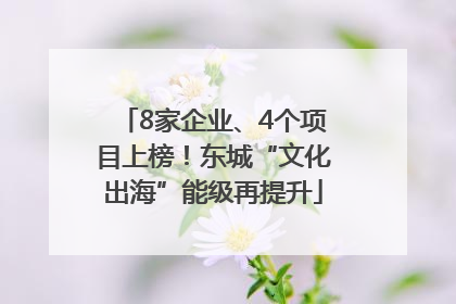 8家企业、4个项目上榜！东城“文化出海”能级再提升