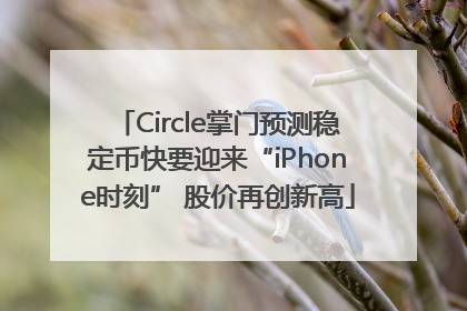 Circle掌门预测稳定币快要迎来“iPhone时刻” 股价再创新高