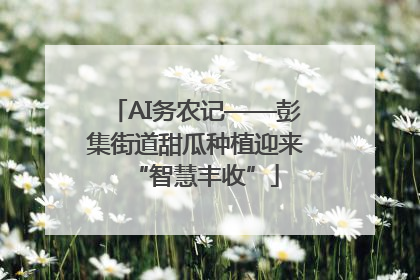 AI务农记——彭集街道甜瓜种植迎来“智慧丰收”