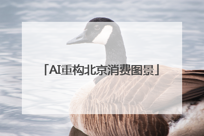 AI重构北京消费图景