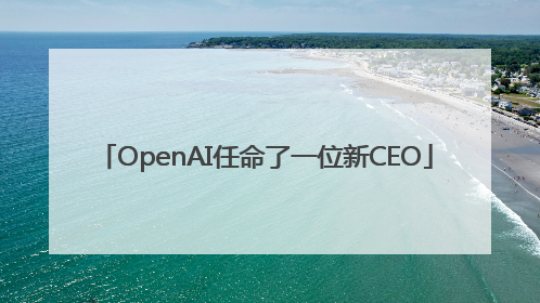 OpenAI任命了一位新CEO