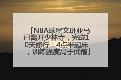 NBA球星文班亚马已离开少林寺，完成10天修行：4点半起床，训练强度高于武僧